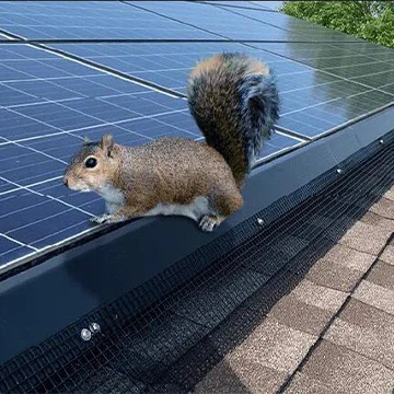 Kuidas kaitsta päikesepaneele oravate eest?